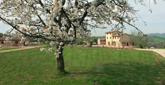 Agriturismo Il Mulinaccio Villa Volterra Exterior foto